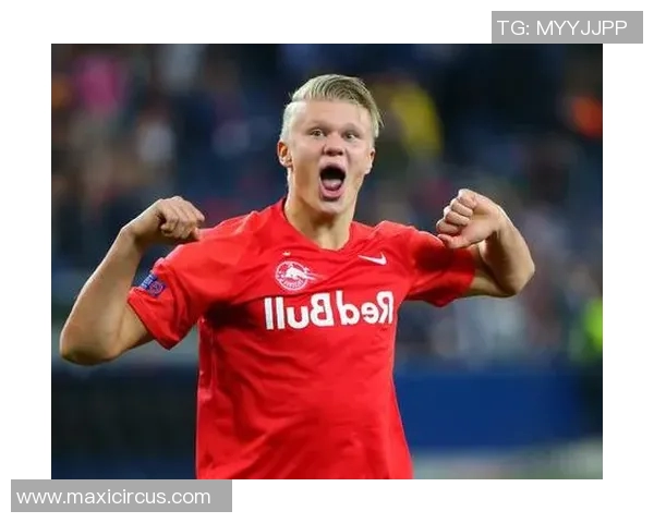 辉煌岁月与传奇足迹解析：老足球球星的荣耀与贡献